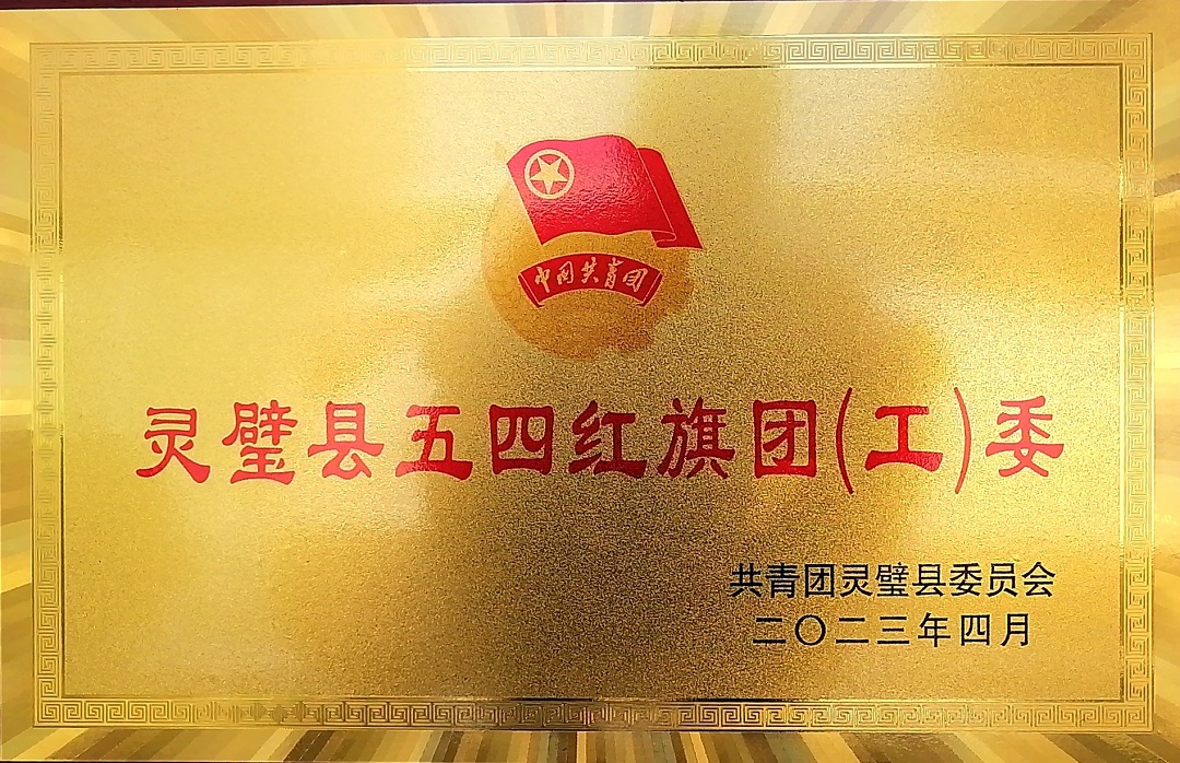 灵璧县五四红旗团委.jpg